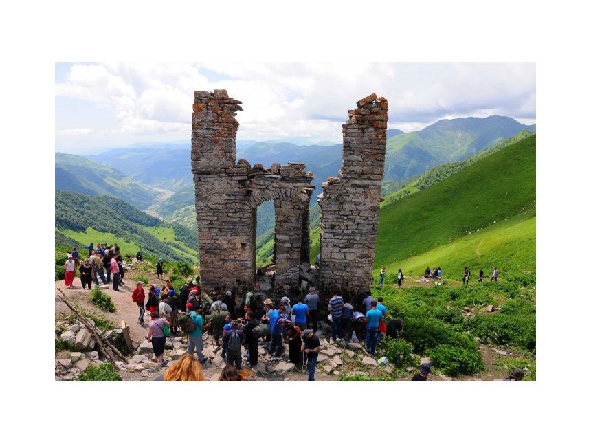 ლომისობა , თავისი კვებით ! დამიკავშირდით: (+)   გიორგი