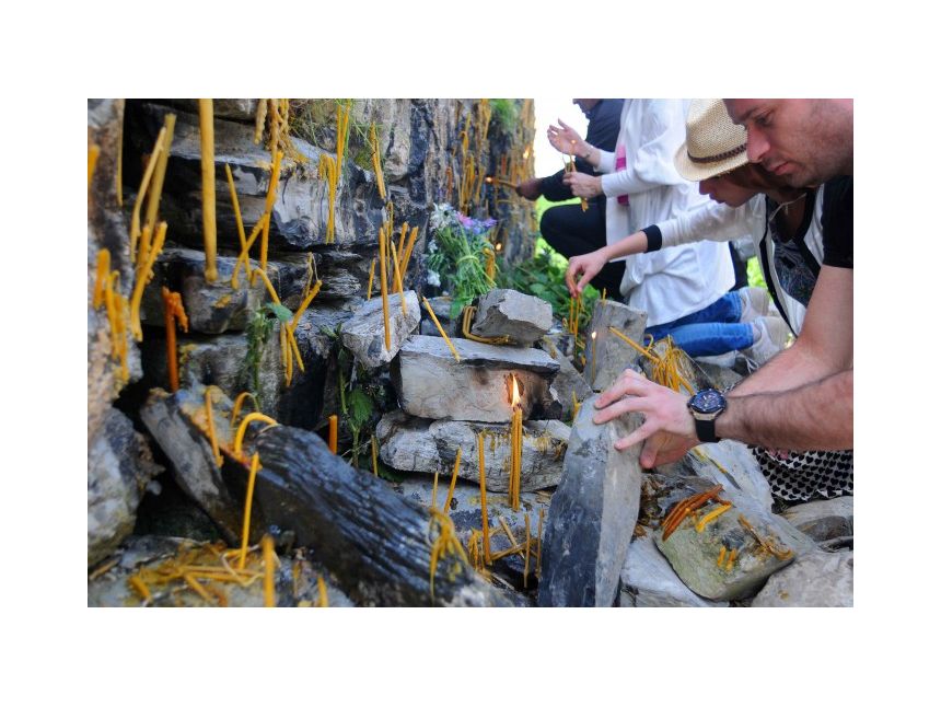 ლომისობა , თავისი კვებით ! დამიკავშირდით: (+)   გიორგი