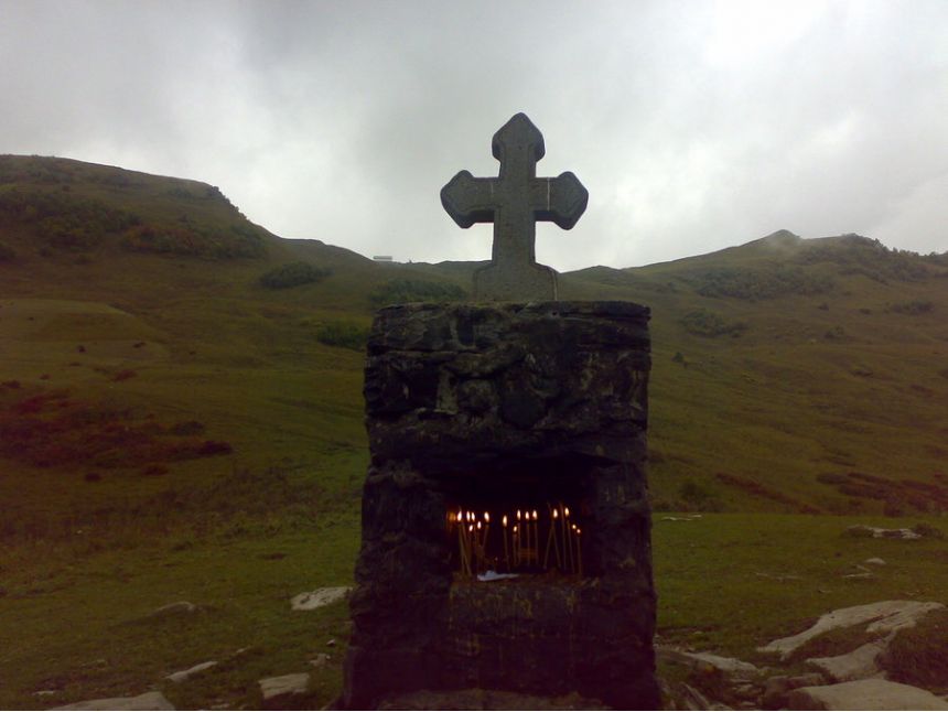 ლომისობა , თავისი კვებით ! დამიკავშირდით: (+)   გიორგი