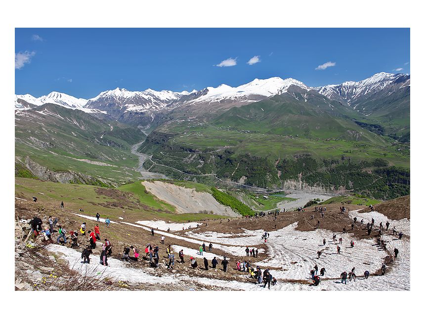 ლომისობა , თავისი კვებით ! დამიკავშირდით: (+)   გიორგი