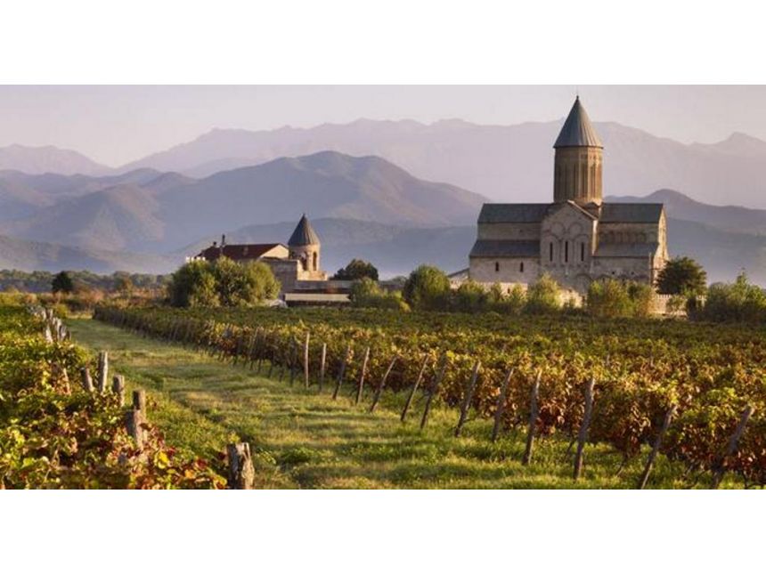 Авто тур в Кахетии