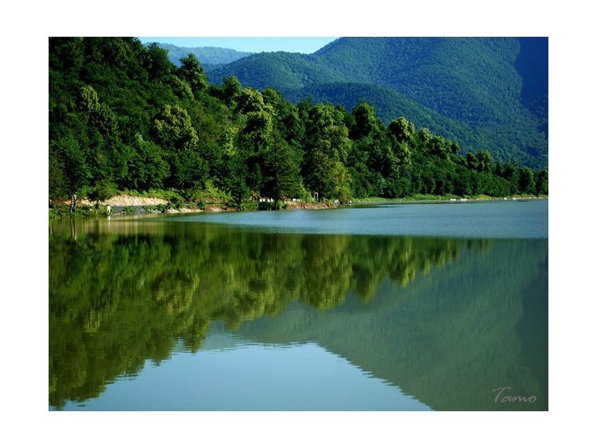 Авто тур в Кахетии