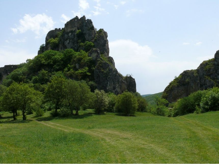 ტური ვაშლოვანში