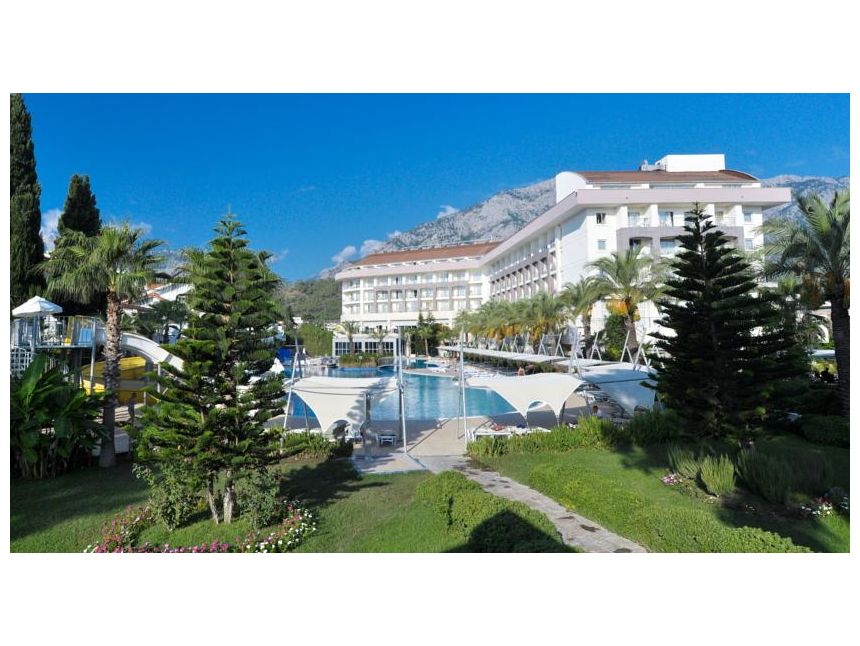 დღის შემოთავაზება