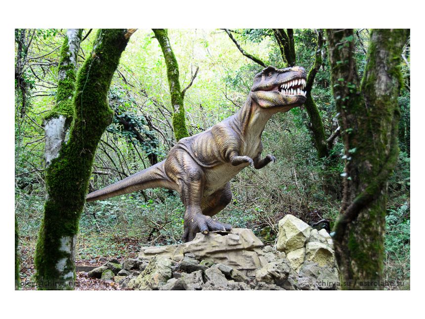 ტური იმერეთში და სამეგრელოში