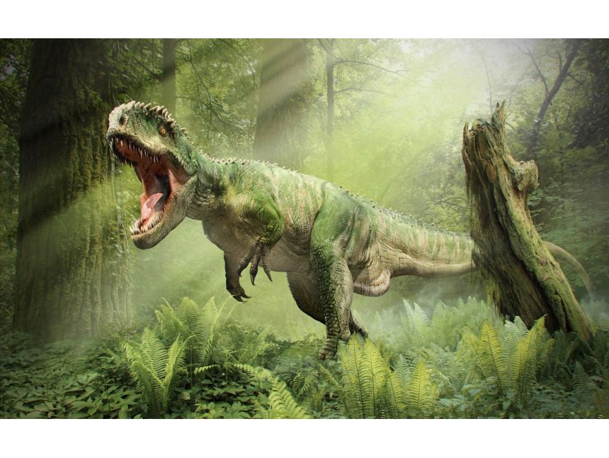 ტური იმერეთში და სამეგრელოში