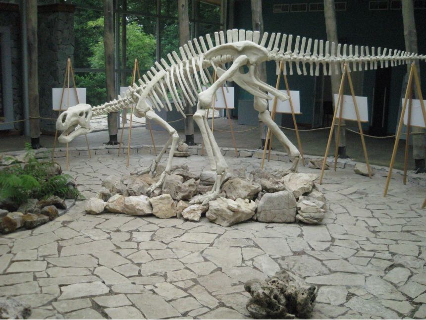 ტური იმერეთში და სამეგრელოში