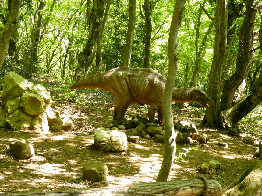 ტური იმერეთში და სამეგრელოში