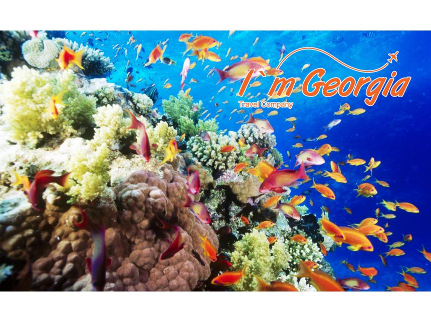 მოგზაურობა ეგვიპტეში, ჰურგადა - $!