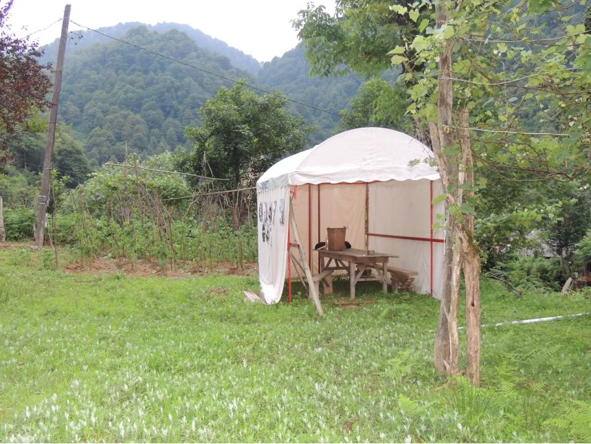 კოტეჯები მტირალაზე