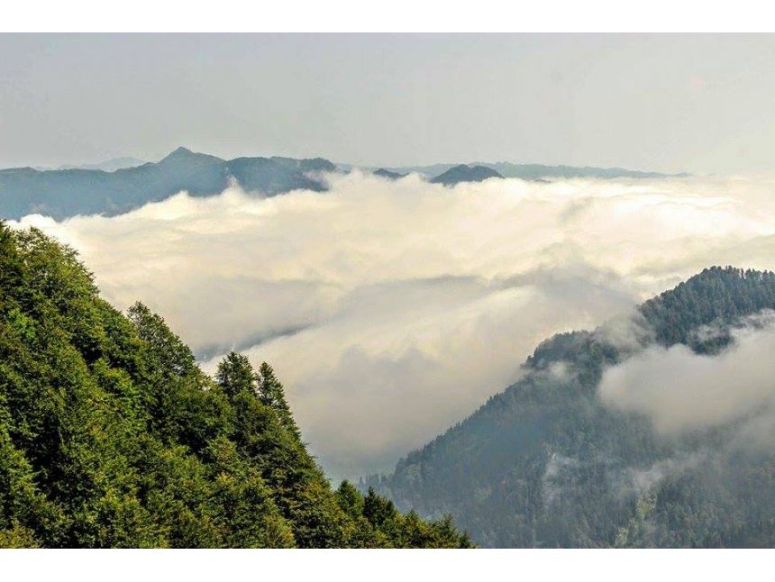 ტობავარჩხილი - ვერცხლის ტბა