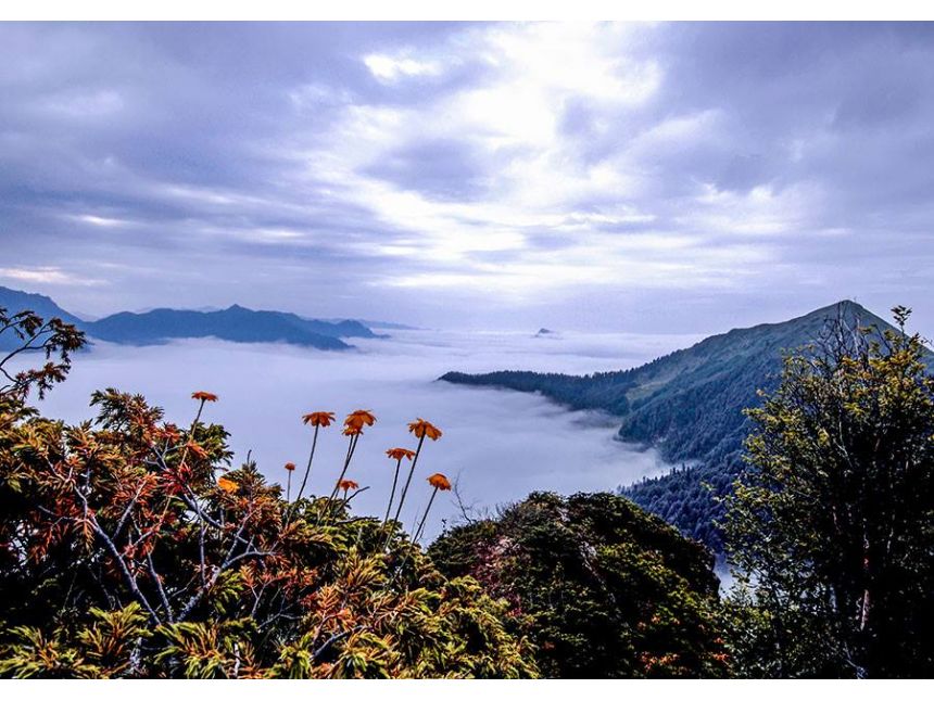 ტობავარჩხილი - ვერცხლის ტბა