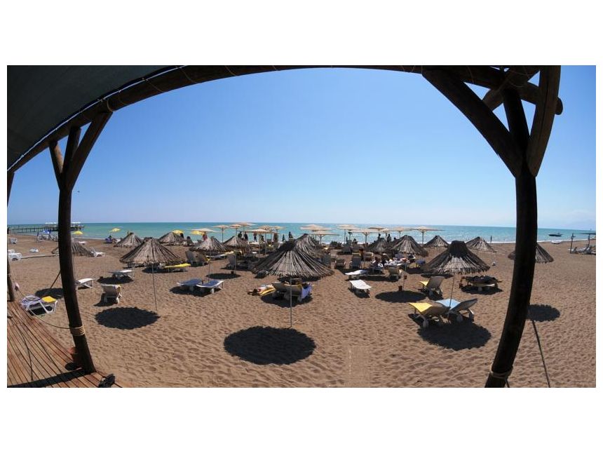 თურქეთი ბელეკი