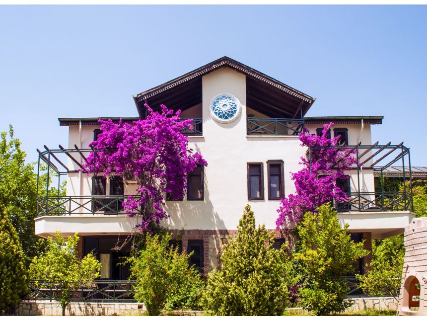 თურქეთი ბელეკი