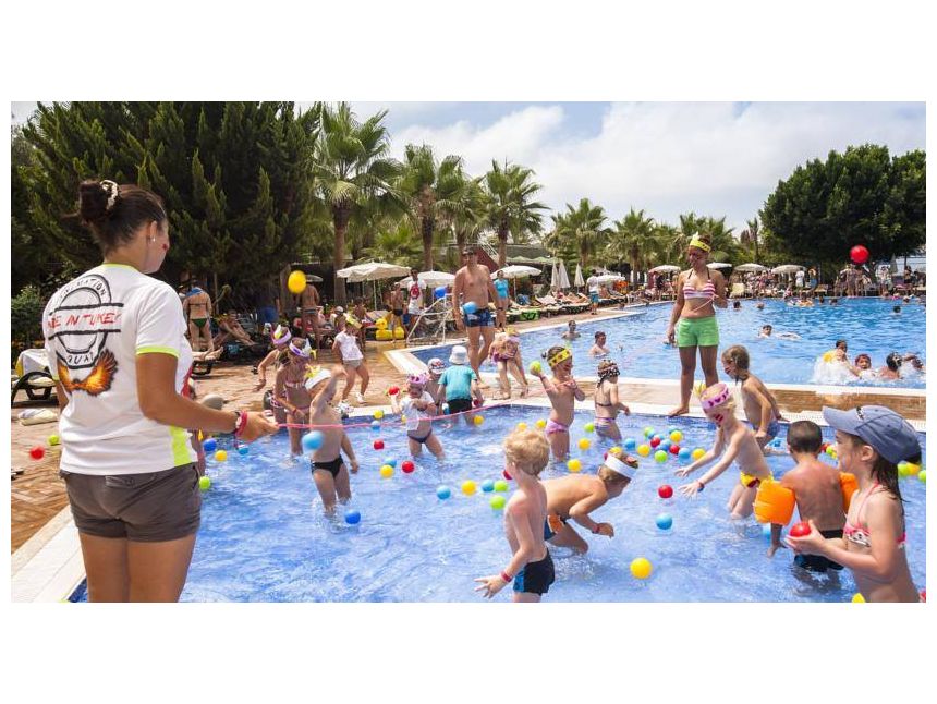 დღის შემოთავაზება !!!