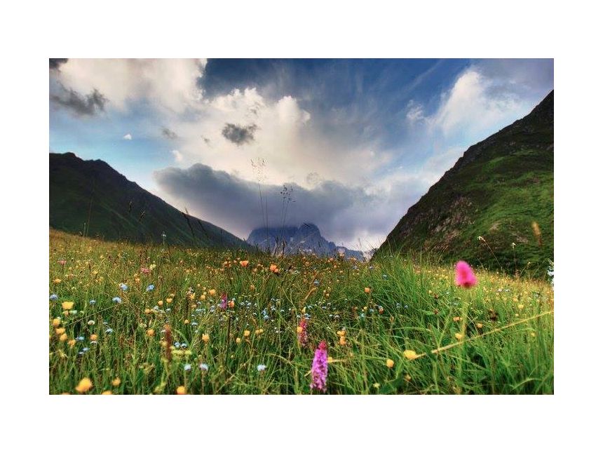 ტური ☛ ჯუთაში ივლისს