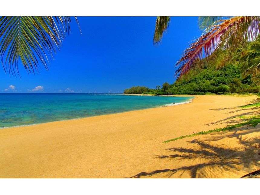 მუდამ მზიანი ოქროს ქვიშები, ვარნა - -დან