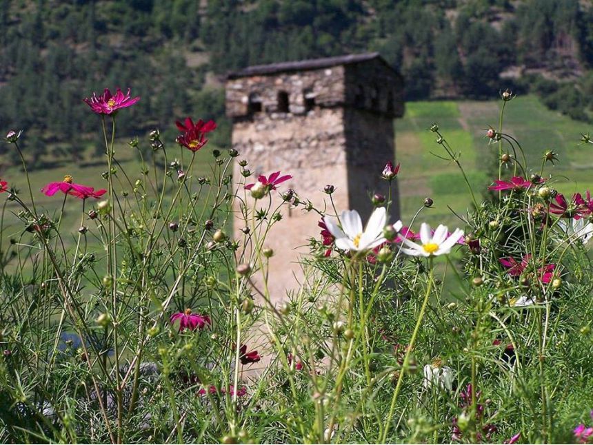 სვანეთი დღე