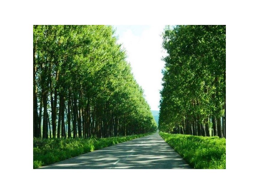 ერთდღიანი ტური სიონში