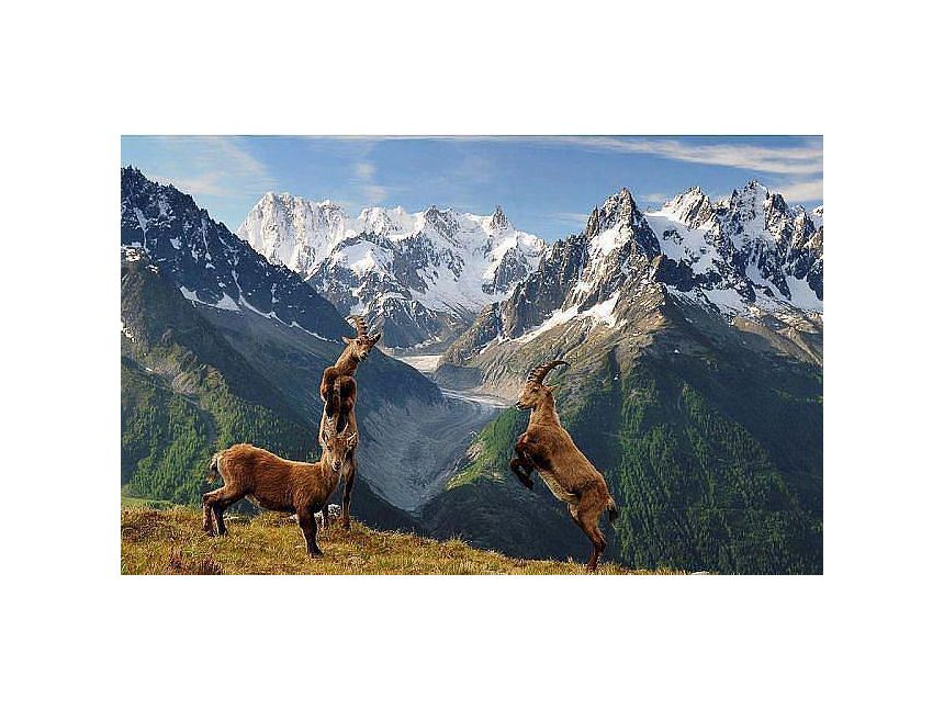 დღიანი ტური თუშეთში