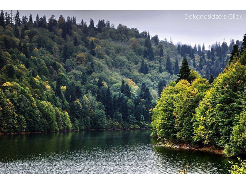 დღიანი ტური რაჭაში