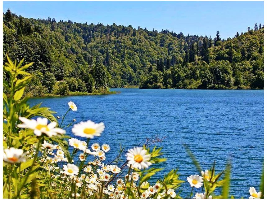 დაუვიწყარი დღე რაჭაში <