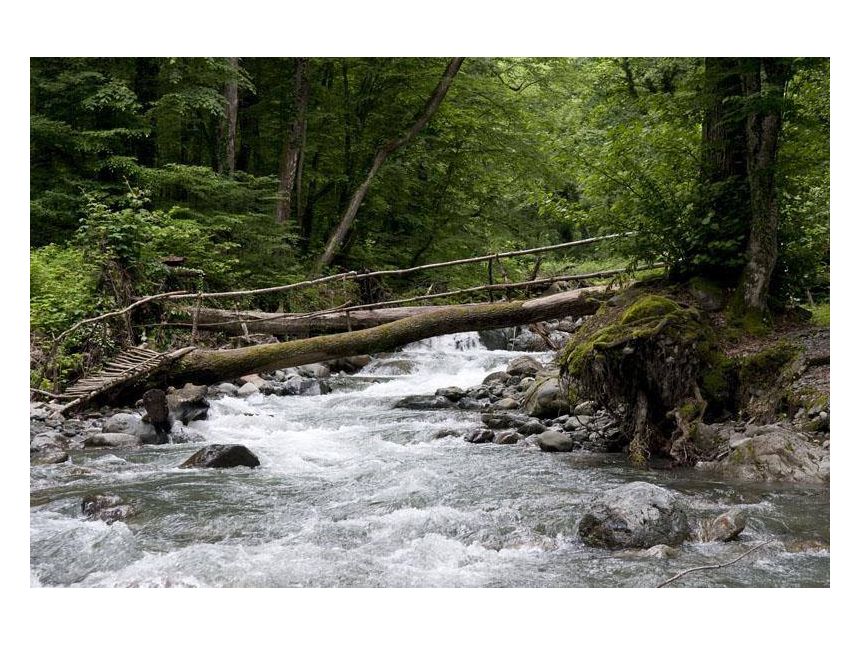 ტური ლაგოდეხში