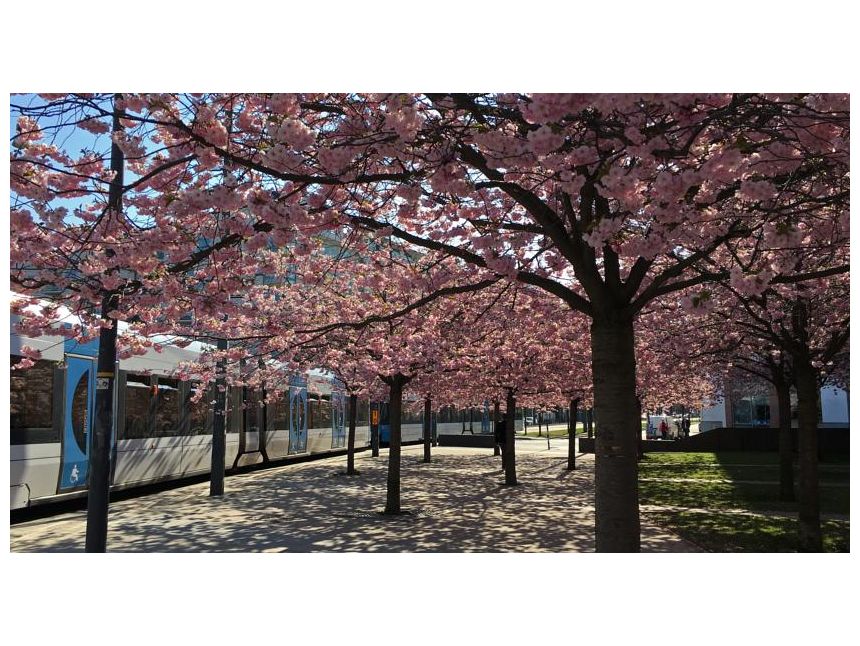 მომაჯადოებელი სკანდინავია, სტოკჰოლმი/ოსლო –