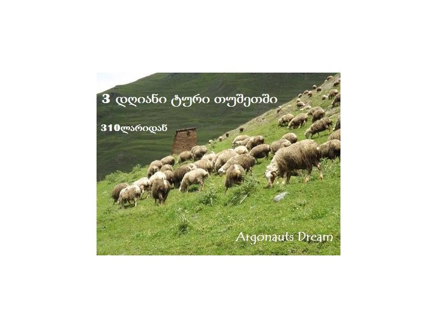 დღიანი ტური თუშეთში