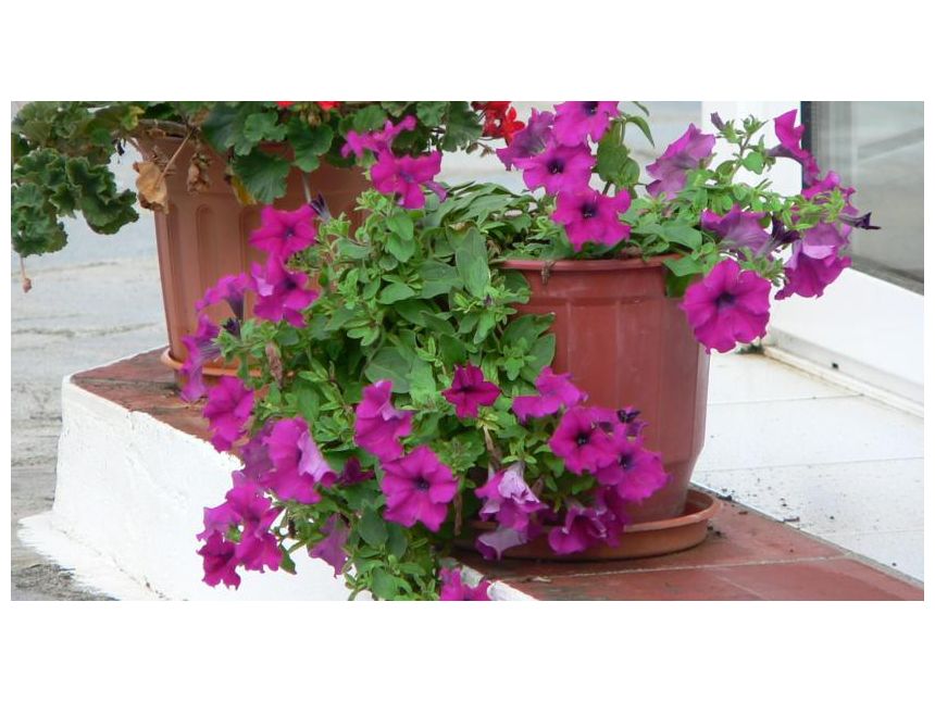 საბერძნეთი სრული ტური