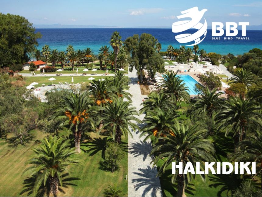 აქცია! დღის სასტუმრო!