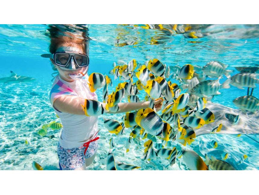 წითელი ზღვა - ჰურგადა! 