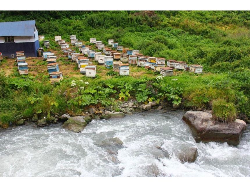 ტური ჯუთაში სექტემბერი სრულდება მე- მიკროავტობუსის შევსება