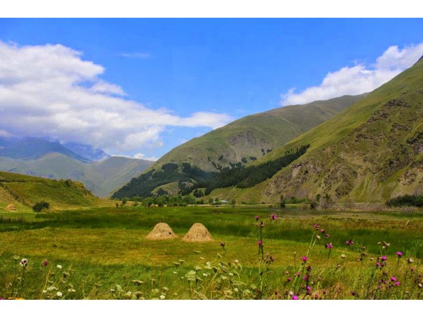 ტური ჯუთაში სექტემბერი სრულდება მე- მიკროავტობუსის შევსება