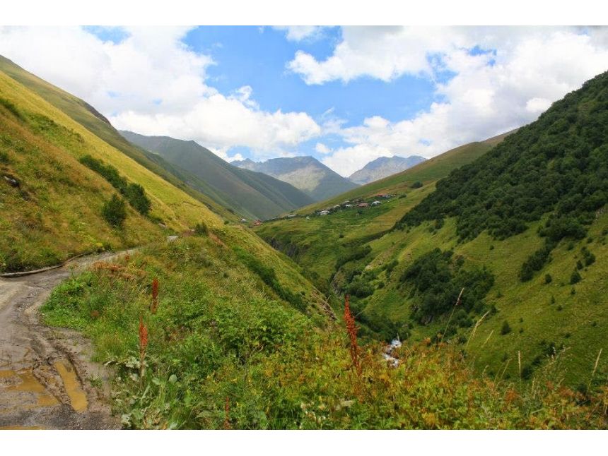 ტური ჯუთაში სექტემბერი სრულდება მე- მიკროავტობუსის შევსება