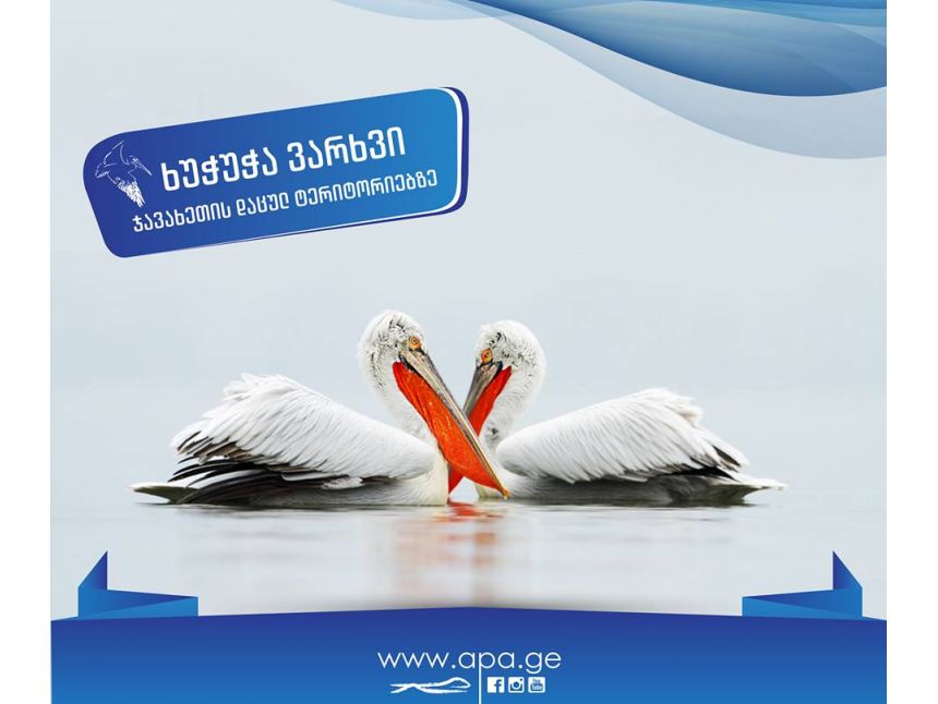 ხვალ!ტური ჯავახეთის ტბებზე, ფრინველებზე დაკვირვება/დარჩენილია ადგილი