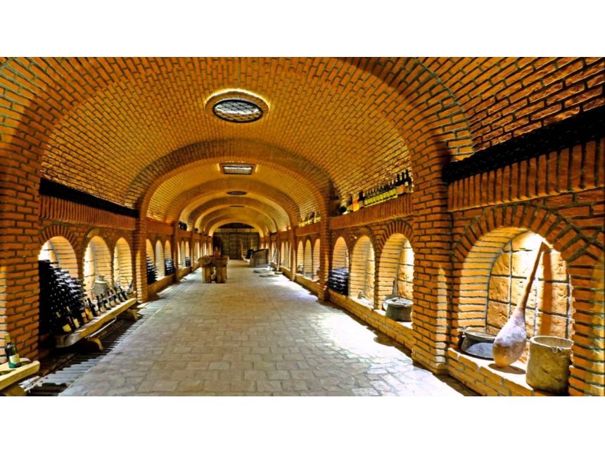 ერთდღიანი ტური ღვინის სამშობლოში !!! კახეთი გიმასპინძლებთ თქვენ!!! ფოტოგადაღება+კვება