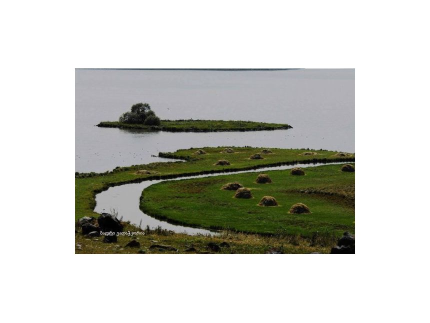 დღიანი ტური აბულის მთზე