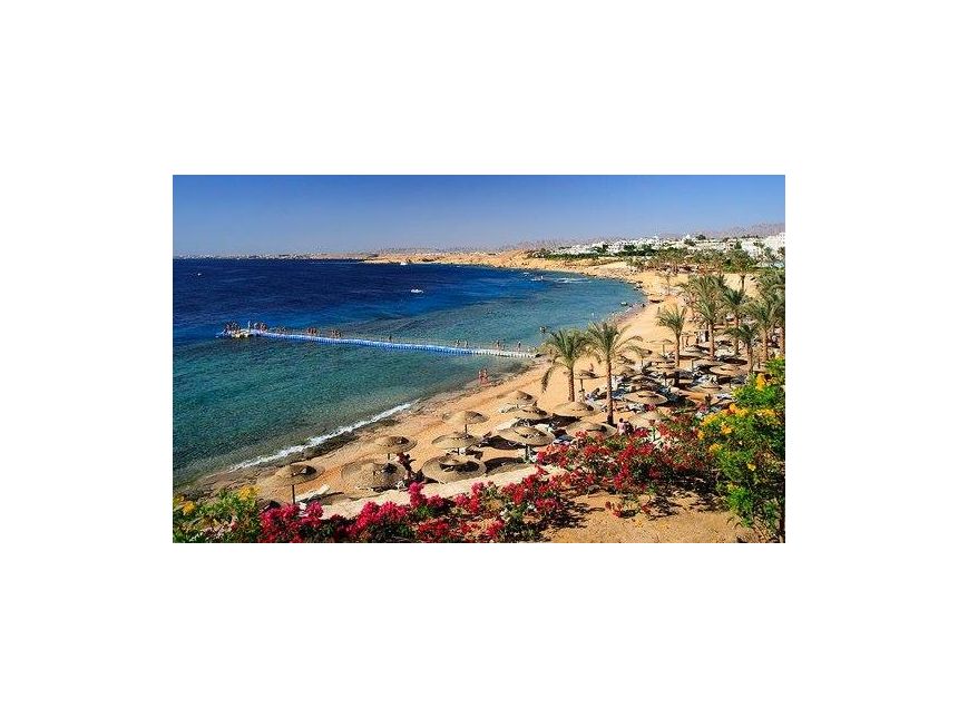 დაისვენეთ შარმ ელ შეიხში - იდან