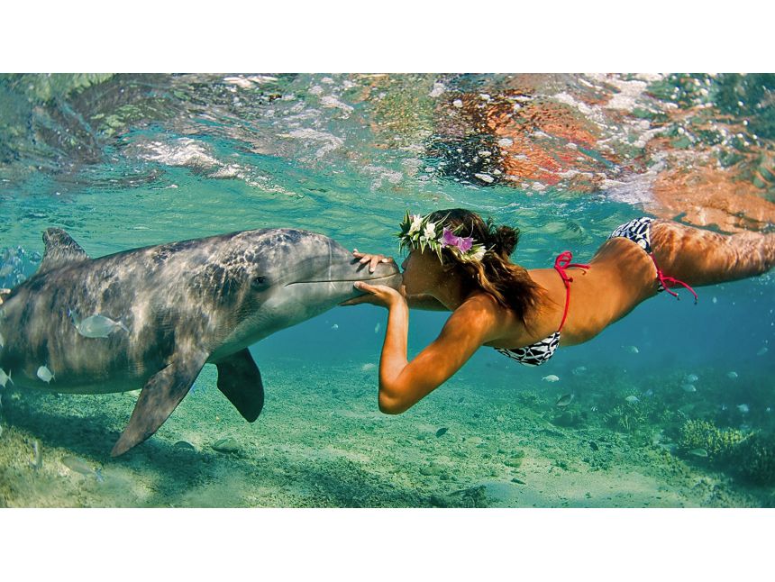 ჰურგადის რეკომენდებული სასტუმროები!