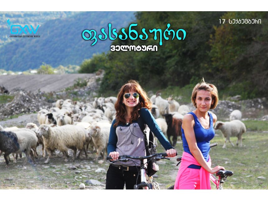 ველოტური ფასანაური-ცივწყარო