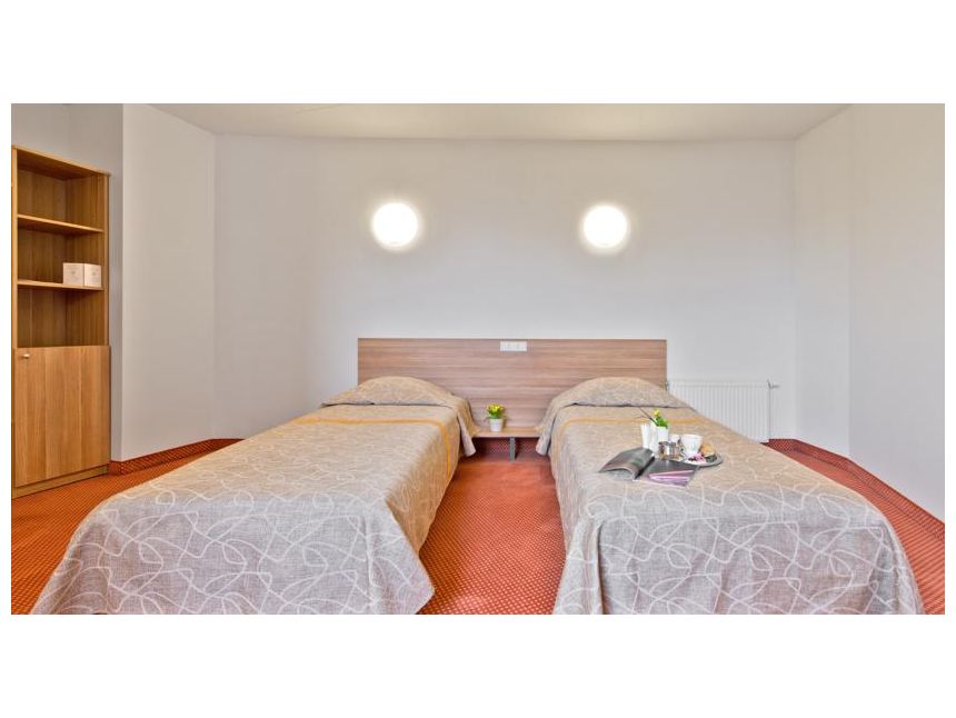 ლიტვა ვილნიუსი ევრო