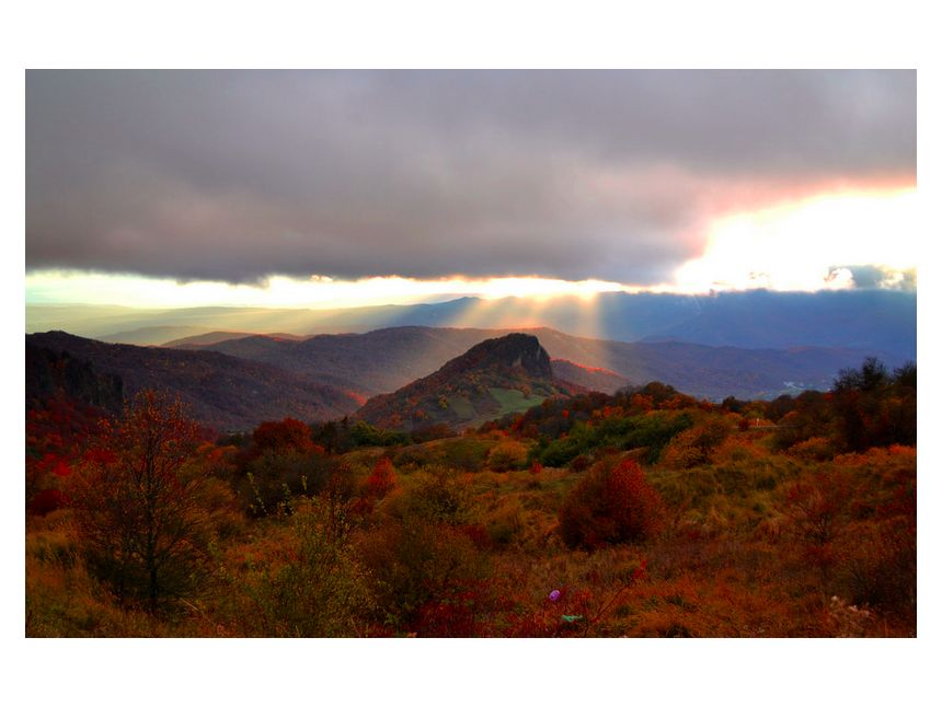 შემოდგომა კახეთში!!!