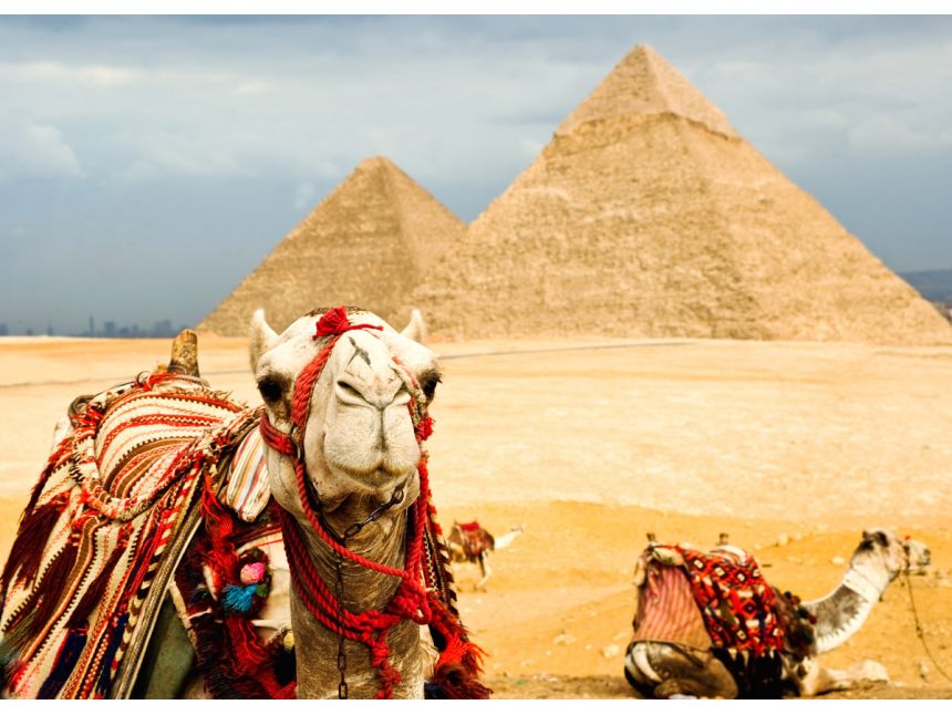 ეგვიპტე, დასვენეთ ულამაზეს მზიან პლიაჟზე