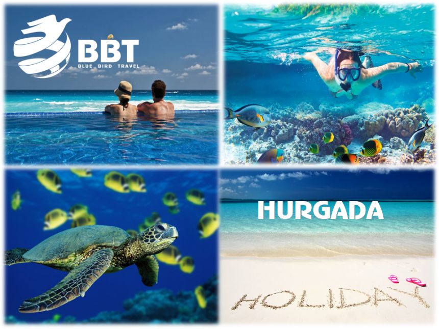 გთავაზობთ ბოლო ადგილებს .-ის რეისზე, ჰურგადის მიმართულებით ❗ ❗