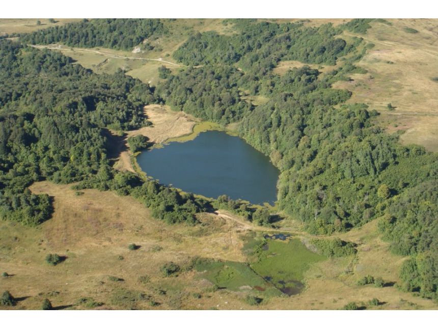 დღიანი ტური რაჭაში ყველაზე განსხვავებული მაშუტი