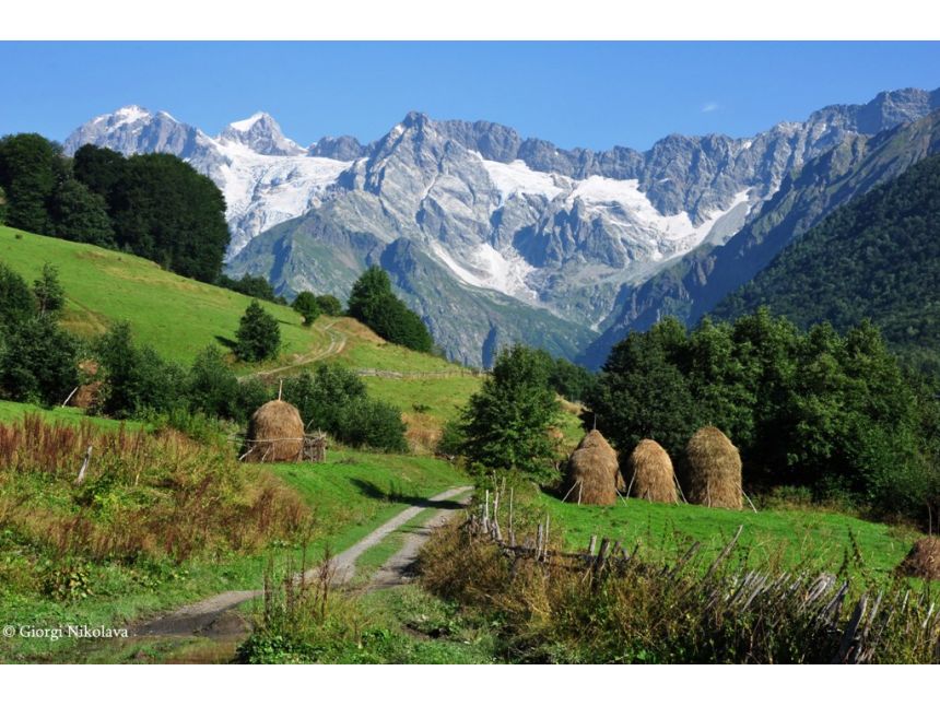 დღიანი ტური რაჭაში ყველაზე განსხვავებული მაშუტი