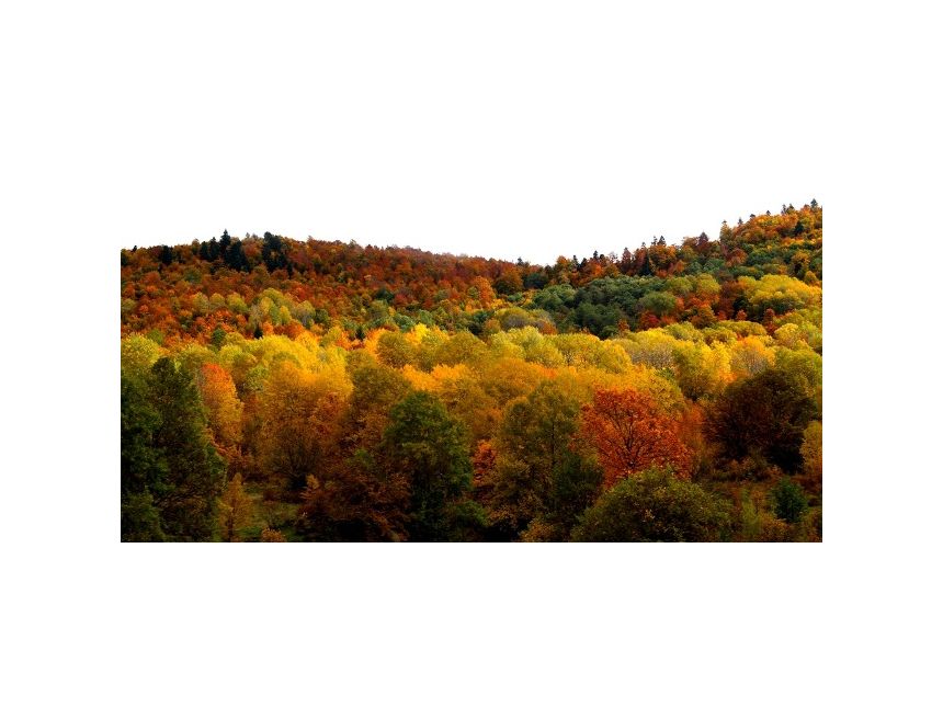 შემოდგომის რაჭა, ლაშქრობა უძირო ტბაზე