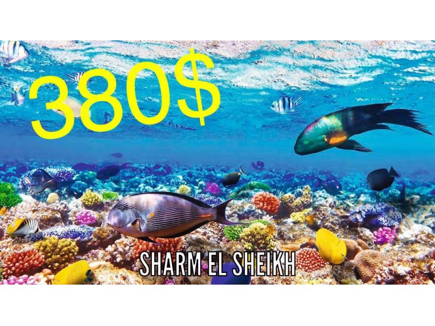 ეგვიპტე გასაოცარ ფასად