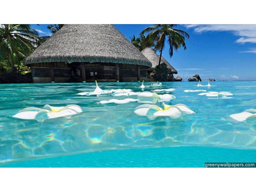 მალდივის კუნძულები სამოთხე დედამიწაზე!!! აქციე ოცნება რეალობად!!!